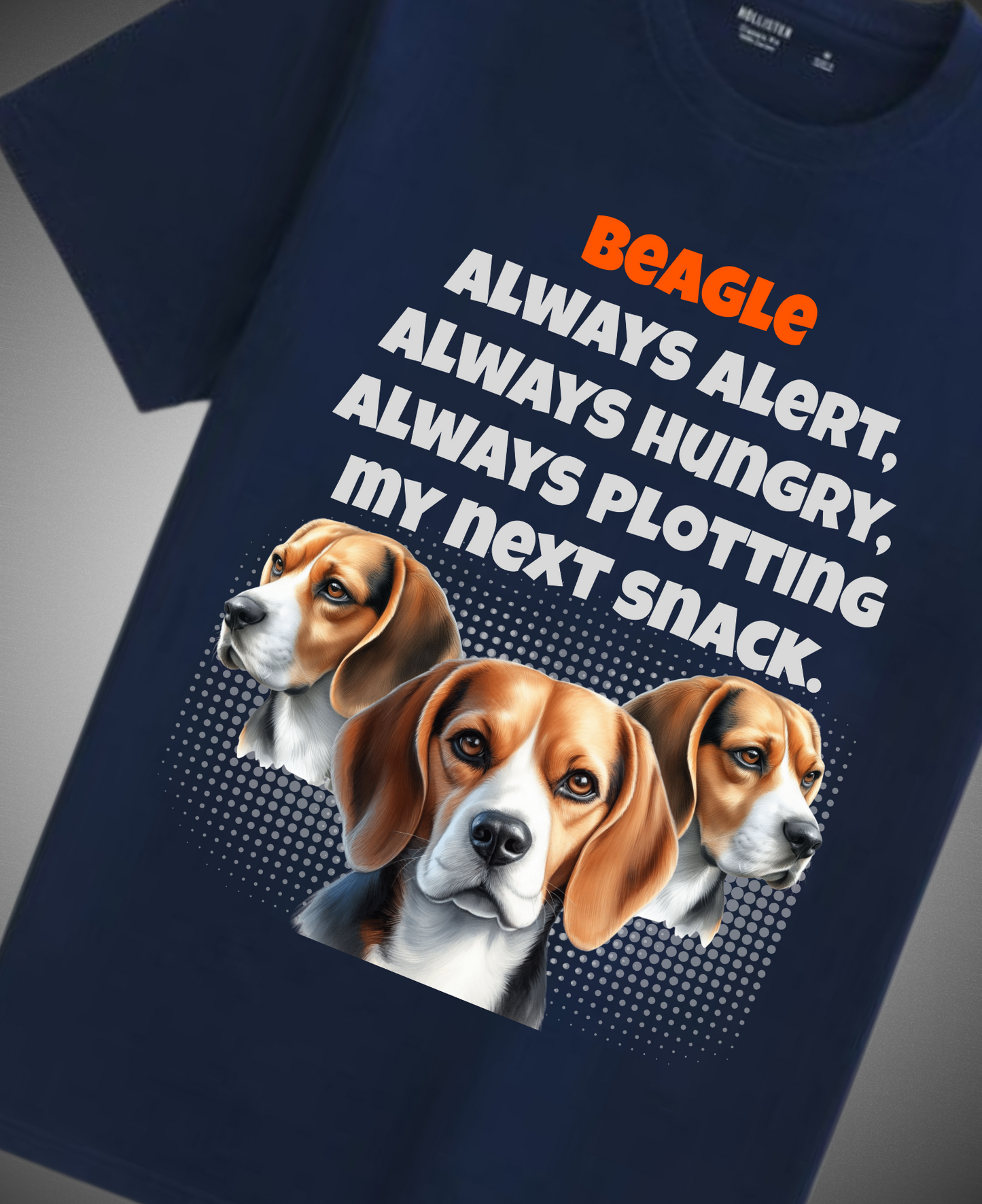 Beagle